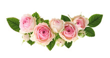 Small Pink Rose Flowers And Green Leaves In A Floral Arrangement Isolated