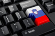 Slovenian flag painted on computer keyboard. Online business, education, shopping in Slovenia concept. 3D rendering