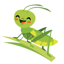 Cartoon Illustration Of A Grasshopper
