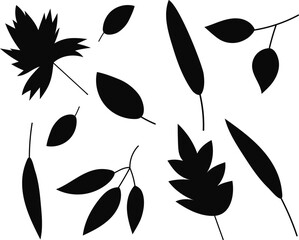 Wall Mural - silhouette set of leaves isolated, vector