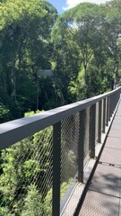 Poster - Pont suspendu dans la jungle sur l’île de Penang - Malaisie