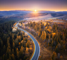Aerial View Of Mountain Road In Orange Forest At Sunset In Autumn In Ukraine. Top View From Drone Of Road. Woods. Beautiful Landscape With Empty Highway, Hills, Pine Trees, Golden Sunlight In Fall