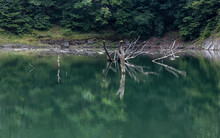 Rezerwat Przyrody Jeziorko Daisy – Utworzony W 1998 R. Geologiczno-leśny Rezerwat Przyrody Nieożywionej, Wchodzący W Skład Książańskiego Parku Krajobrazowego