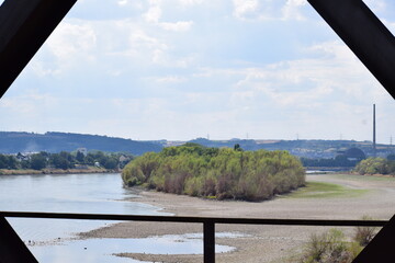 Poster - Niedrigwasser am Urmitzer WErth, Rheininsel