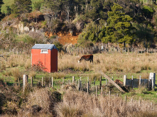 Sticker - Rough rural farmland with one cow grazing and red shed