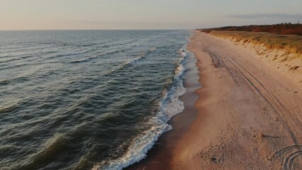 Wall Mural - Panoramic view of the sandy beach near the autumn forest with dry red vegetation. Sea waves wash the shore. The drone is flying back. Video from a drone on a summer day.