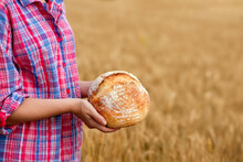 A Female Farmer In A Straw Hat And Checkered Shirt Holds Fragrant Bread In Her Hands On A Ripe Wheat Field. The Smell Of Freshly Baked Bread