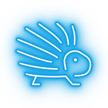 Neon Blue Porcupine Icon, Transparent Background, Neon Safari Animal Icon