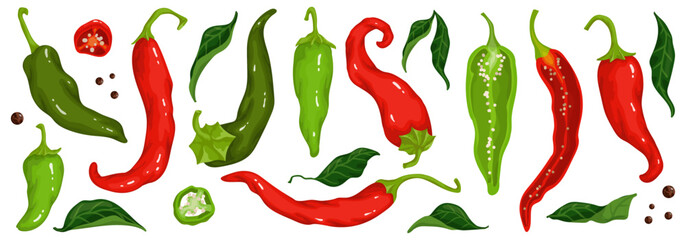 Set of green and red chili peppers, spicy vegetable halves and pieces.Vector graphics.