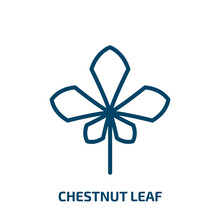 Chestnut Leaf Icon From Nature Collection. Thin Linear Chestnut Leaf, Chestnut, Leaf Outline Icon Isolated On White Background. Line Vector Chestnut Leaf Sign, Symbol For Web And Mobile