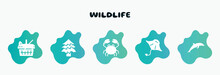 Wildlife Filled Icons Set. Flat Icons Such As Spruce, Crab, Manta Ray, Dolphin, Tapir Icon Collection. Can Be Used Web And Mobile.