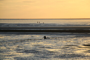 Abendstimmung an der Nordsee