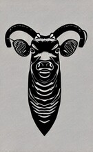 Head Of A Bull