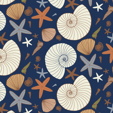 Hand Drawn Vector Illustrations - Seashells Seamless Pattern. Marine Background. Perfect For Invitations, Greeting Cards, Posters, Prints, Banners, Flyers, Etc.