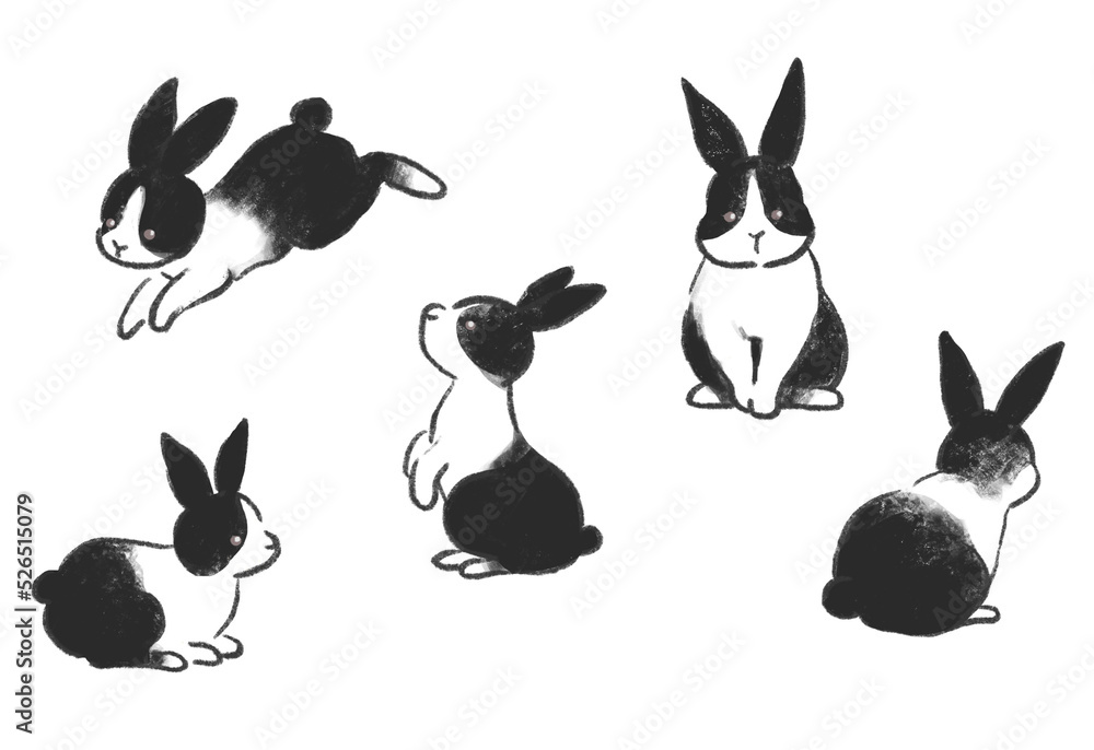 うさぎのかわいいイラスト ポーズ集 パンダうさぎ ダッチウサギ
