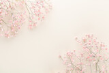 Fototapeta Kwiaty - Beautiful flower background of pink gypsophila flowers. Flat lay, top view. Floral pattern.