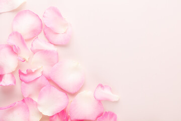 Wall Mural - Rose flowers petals on pastel background. Valentines day background. Flat lay, top view, copy space.