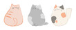Cute doodle cat vector set. Drawing style. Orange, gray, calico cats. Illustration.
