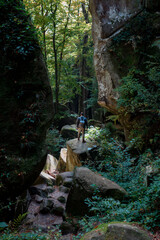 Poster - man hiker with backpack in canyon with forest