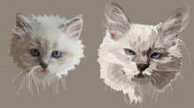 Two Cats Portrait Isolated On Grey