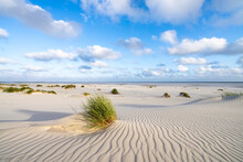 Sand Dunes Near The Beach, North Sea Coast, Germany