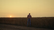© stockbusters - Farmer silhouette check grain quality at sunset country field. Thoughtful man