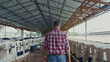 © stockbusters - Farmer walking calves cowshed in dairy farm. Barn worker going near cows stalls.