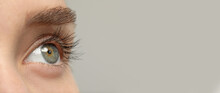 Closeup View Of Woman With Beautiful Eyes On Light Grey Background, Space For Text. Banner Design