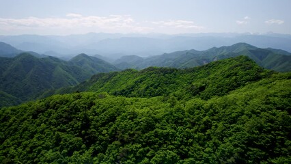 Wall Mural - 新緑の精進湖と富士山を精進峠から空撮