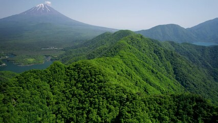 Wall Mural - 新緑の精進湖と富士山を精進峠から空撮