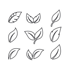 Sticker - leaf line element  icon vector design template