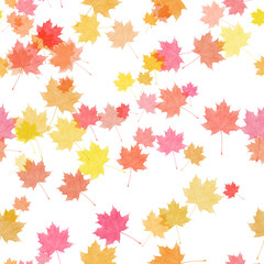 Wall Mural - seamless pattern with various maple autumn leaves on white background