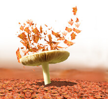 Autumn Leaves Umbrella Flyng On The Air Isolated - 3d Rendering
