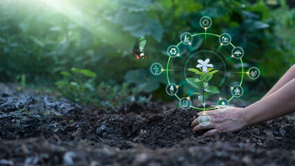 Wall Mural - .sustainable development goals of promote clean energy. renewable energy-based. sustainable developm