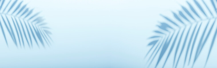 palm shadow on an empty blue wall. tropical sunny banner background for presentation of beauty produ
