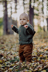 Portrait of cute little boy wearing knitted hoodie in nautre, autumn concept.