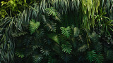 Fototapeta Sypialnia - Creative nature green background, tropical leaf banner or floral jungle pattern concept.	