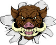 Boar Warthog Sports Mascot
