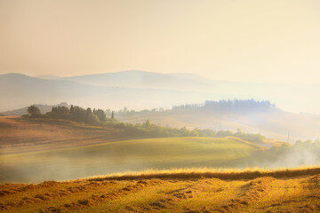 Wall Mural - Impressive panorama Italian landscape, view with cypress trees, vineyards and farmer's fields. Tuscany, Italy