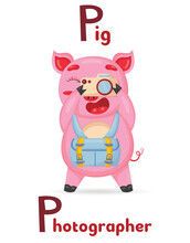 Latin Alphabet ABC Animal Professions Starting With Letter P Pig Photographer In Cartoon Style.