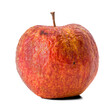 Old apple that is beginning to rot isolated from background