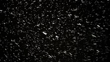 Night Snowstorm. Blustery Snowfall Moving Quickly Towards The Camera. Forward Motion Through A Snow Blizzard. Black Background. Falling Snowflakes, Textured Pattern. Footage. Winter Season. Xmas.