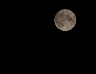Wall Mural - Sturgeon Moon Rising. Dark Night Sky. Space for copy.