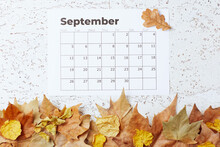 Autumn Background With September Calendar And Leaves