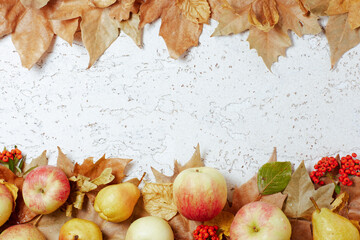 Wall Mural - autumn background with apples, pears, pyracantha and leaves