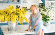 Little Smiing Blond Cute Girl  In Blue Dress Sitting In Blue And White Kitchen With Yellow Flowers Mimosa 