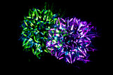 Fototapeta Psy - Abstract pattern virus , color background