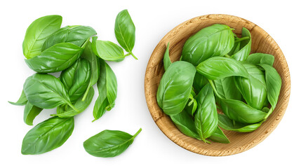 Wall Mural - Fresh basil leaf in wooden bowl isolated on white background with full depth of field. Top view. Flat lay