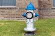 Grey and blue fire hydrant on the grass int he yard in residential complex with brick wall of the building on background.