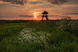 Fototapeta Fototapety z widokami - zachód słońca nad Narwią w Polsce